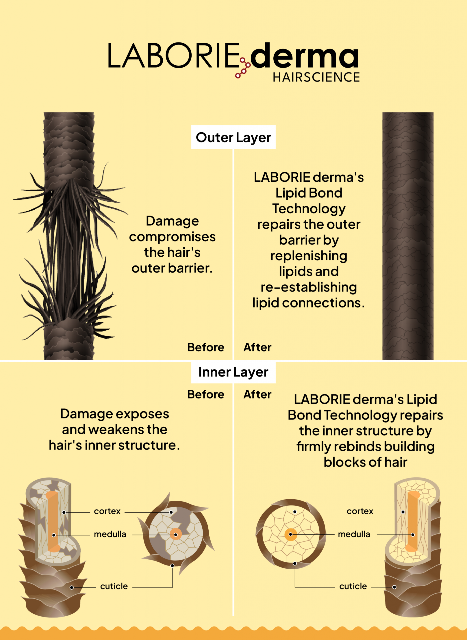 product web ENG new color-04