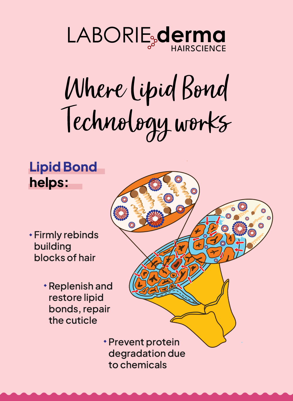 product web ENG new color-49